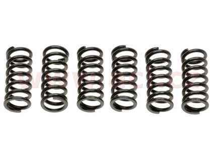 sada pružín spojky 6 ks Tourmax