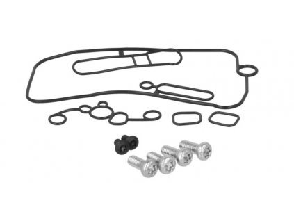 sada tesnení a skrutiek karburátora Keihin FCR Tourmax