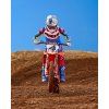 kalhoty SUPERTECH limitovaná edice HAY  ALPINESTARS multicolor (Veľkosť 30)