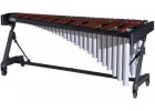 Marimba Concert