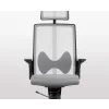 adaptic butterfly elegant h1000.jpeg