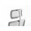 adaptic butterfly silver h1000.jpeg (2)