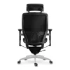 adaptic desire kancelarska zdravotna stolicka h1000.jpeg (12)