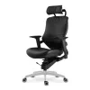 adaptic desire kancelarska zdravotna stolicka h1000.jpeg (8)