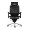 adaptic desire kancelarska zdravotna stolicka h1000.jpeg (9)