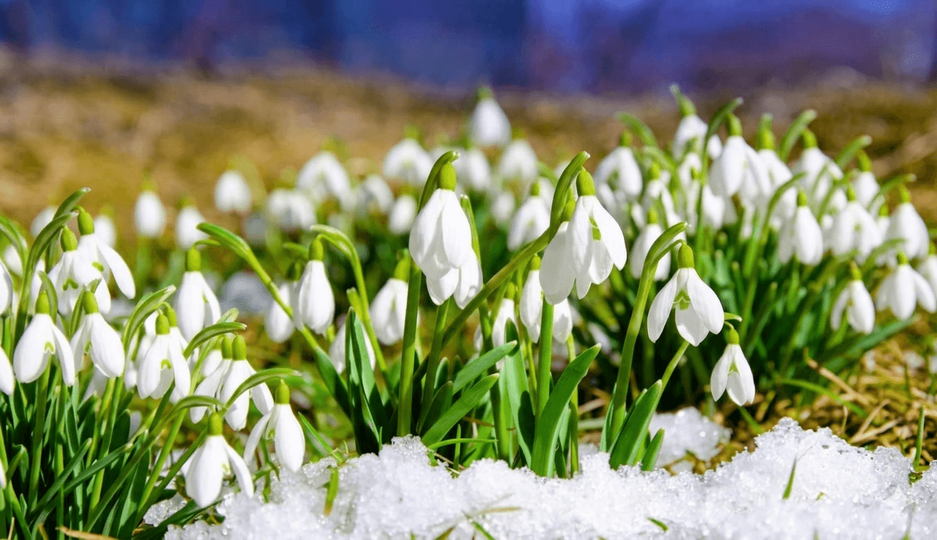 Kedy začína jar 2026