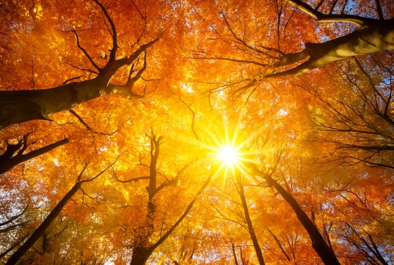 Darčeky, ktoré zahrejú: Top tipy na jeseň