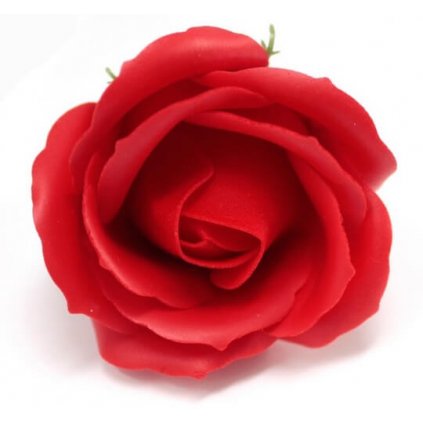 Mydlový kvet ruža, červená