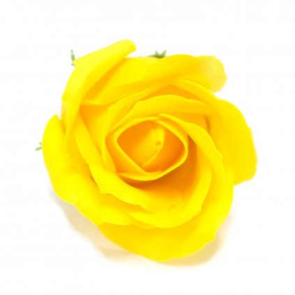 Mýdlový květ růže žlutý