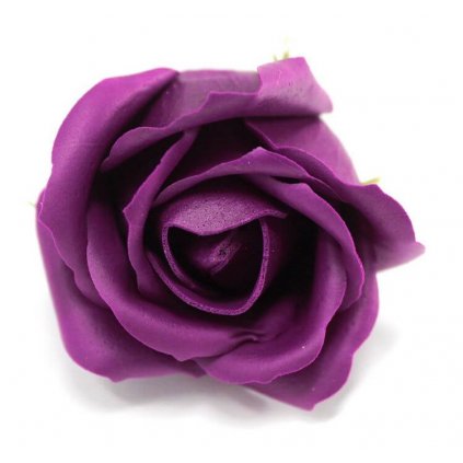 Mydlový kvet ruže, fialový