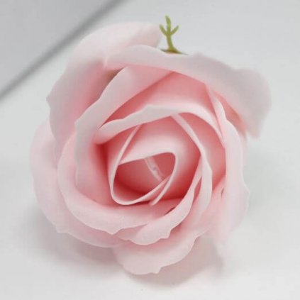 Mydlový kvet ruže, rúžový
