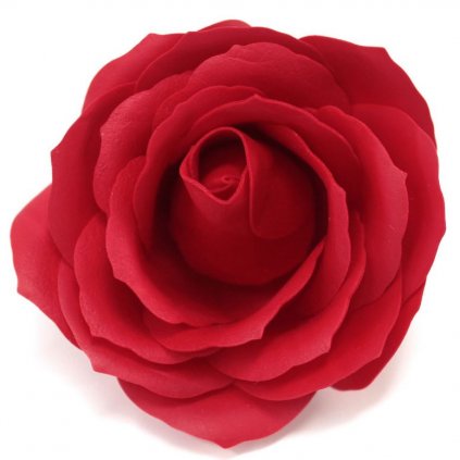 Mýdlový květ růže velký červený