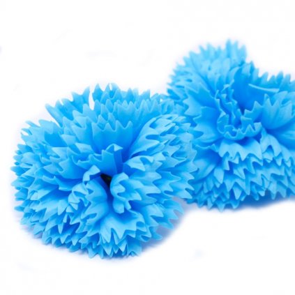 Mydlový kvet karafiát modrý