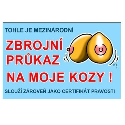 prukaz tohle je mezinarodni zbrojni prukaz