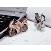 USB flash disk Motorka bronz