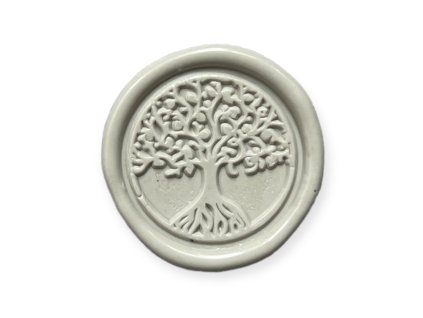 PhotoRoom 20221022 123530