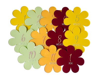 Photoroom 20260216 193310