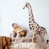 Giraffe Savanna Adventure viz1