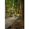 Trojkolka Trybike