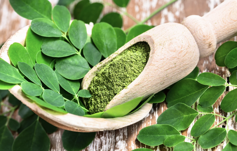 Moringa – superfood dla zdrowia i odporności