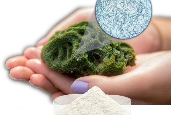 Spikule v kozmetickom priemysle – mikroskopická revolúcia pre nádhernú pleť