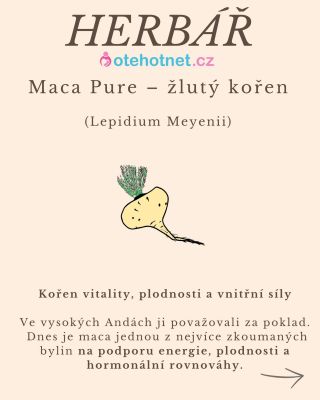 🌿 Maca Pure – žlutý kořen z And. Kořen síly, plodnosti a rovnováhy, který ženy i muži hledali dávno před námi. V našem...