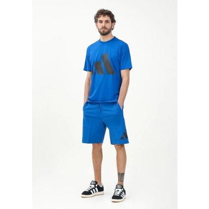 adidas šortky Essentials Big Logo JE8958