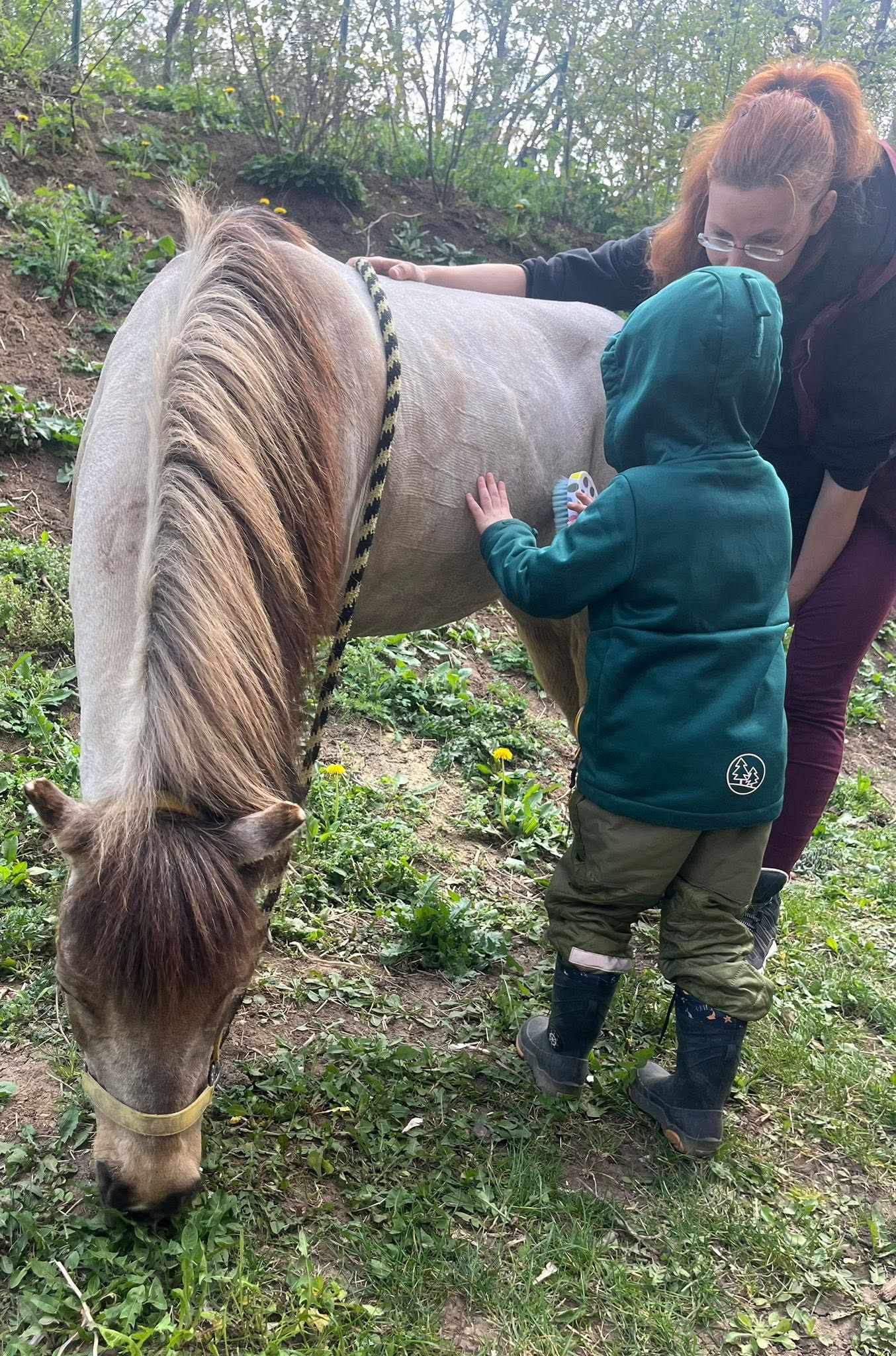 Canisterapie a pony terapie v Adis školce