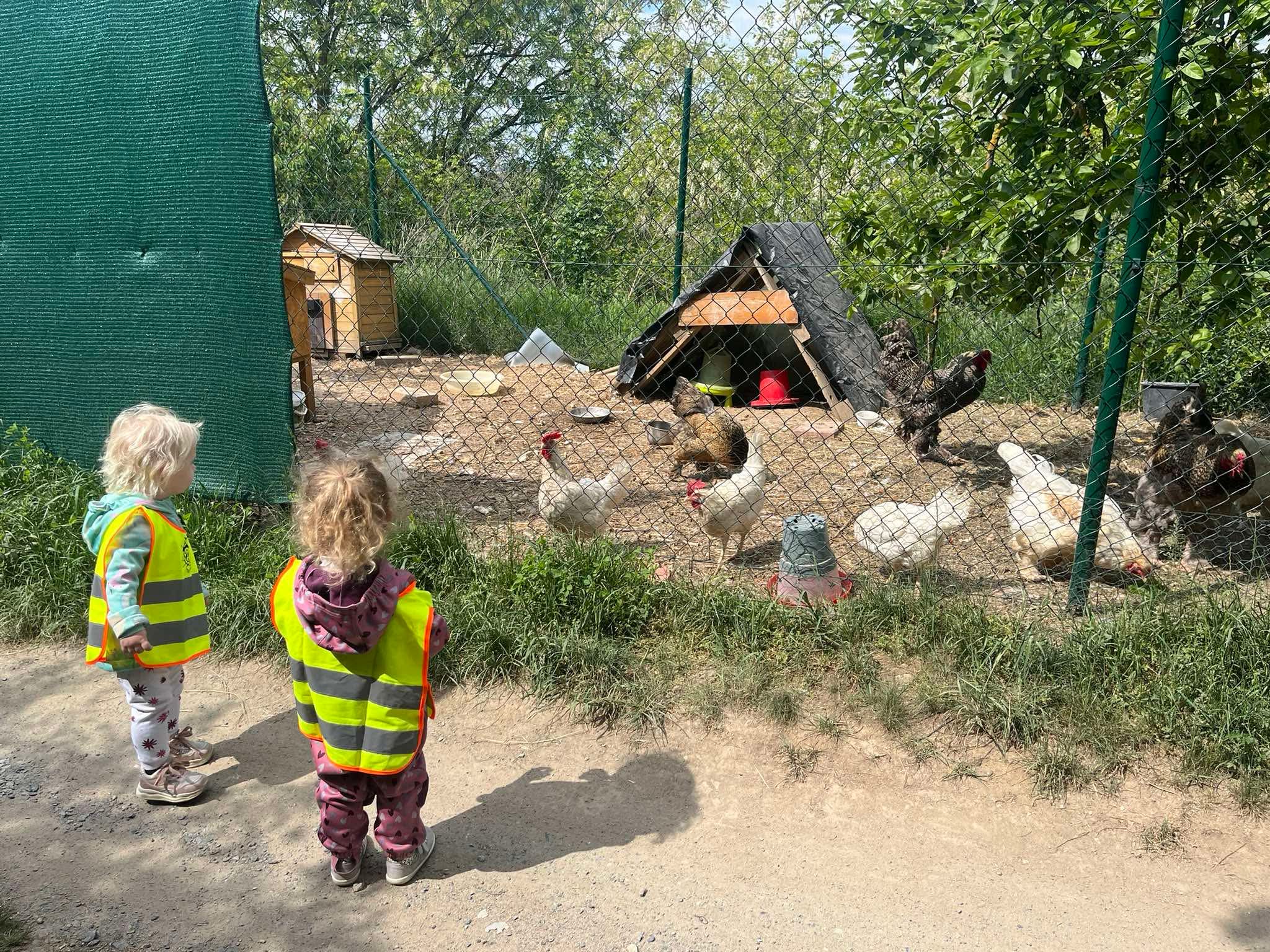 Ze života školky