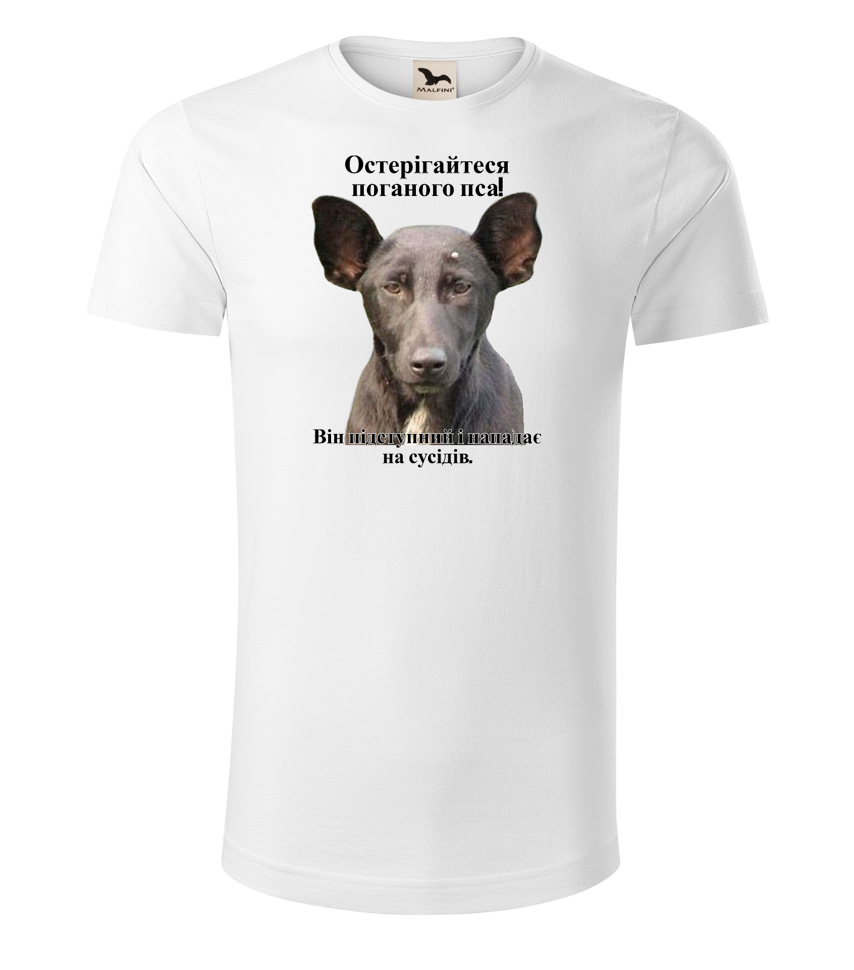 Остерігайтеся поганого пса!