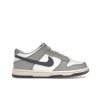 tenisky a boty nike dunk low platinum tint light carbon gs panske damske FB9109-101 1