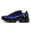 nike air max plus 25th anniversary 1