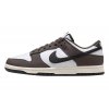 nike dunk low next nature baroque brown 1