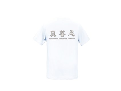 tricko shen yun dancer truthfuln (2)