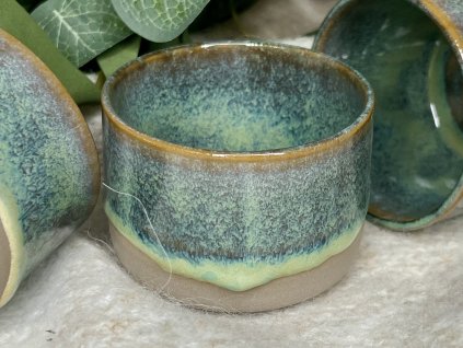 FROZEN FOREST 100 ml