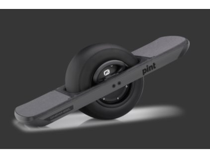 ONEWHEEL PINT SLATE