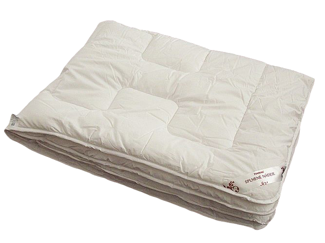 PL Splněné naděje přikrývka 200x220 Zimná
