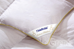 PL Péřová jemnost polštář 70x80 1100g