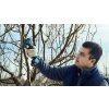 339751 Pro pruner apple done1 16 9 update (1)