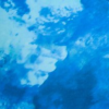 Blue Coral