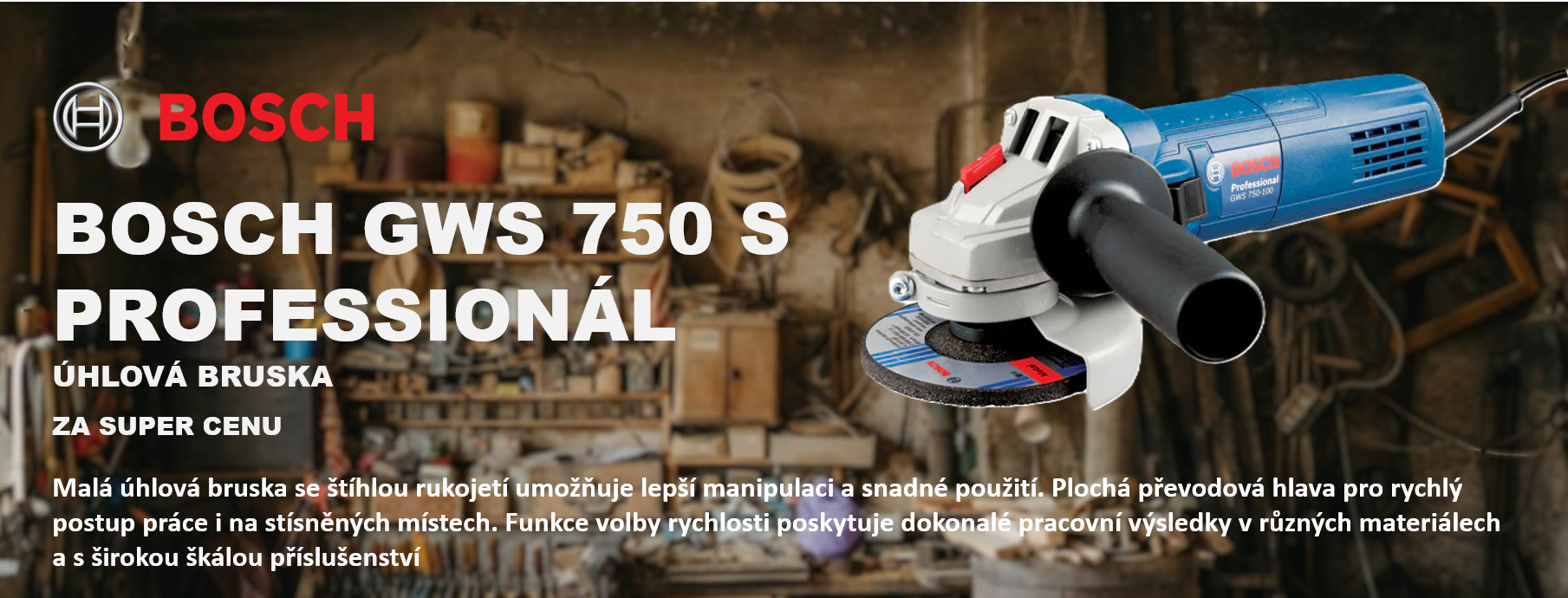 Bosch GWS 750 S (125) Professional