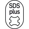 SDS plus