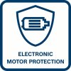 Bosch BI Icon ElectronicMotorProtection