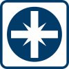 Bosch BI Icon Screwdriver Pozidriv (1)