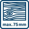 bosch BE icon wood sawing max75mm (14)