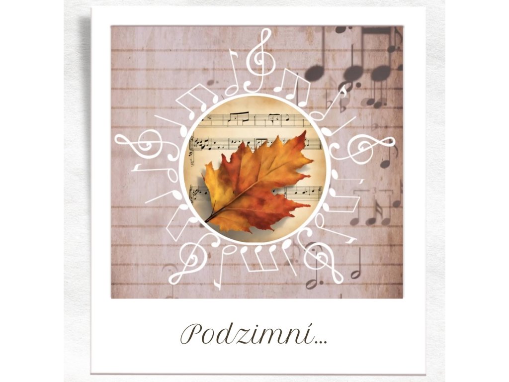 Aesthetic Polaroid Photo Frame Instagram Post