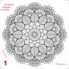 001 mandala kvet