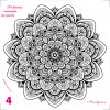 004 mandala kvet