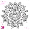029 mandala kvet