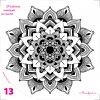 013 mandala kvet